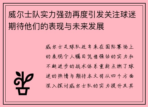 威尔士队实力强劲再度引发关注球迷期待他们的表现与未来发展