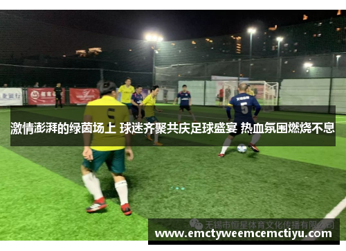 激情澎湃的绿茵场上 球迷齐聚共庆足球盛宴 热血氛围燃烧不息