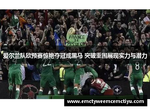 爱尔兰队欧预赛惊艳夺冠成黑马 突破重围展现实力与潜力