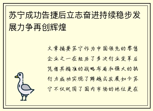苏宁成功告捷后立志奋进持续稳步发展力争再创辉煌