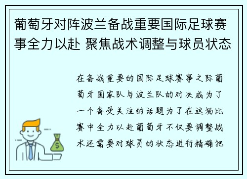 葡萄牙对阵波兰备战重要国际足球赛事全力以赴 聚焦战术调整与球员状态