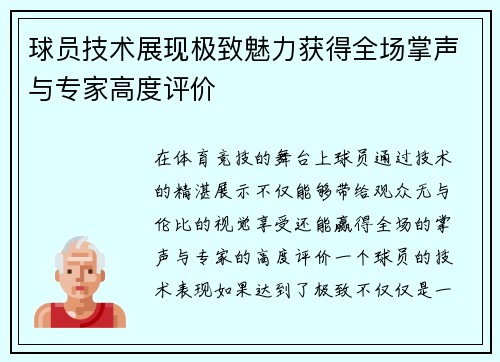 球员技术展现极致魅力获得全场掌声与专家高度评价